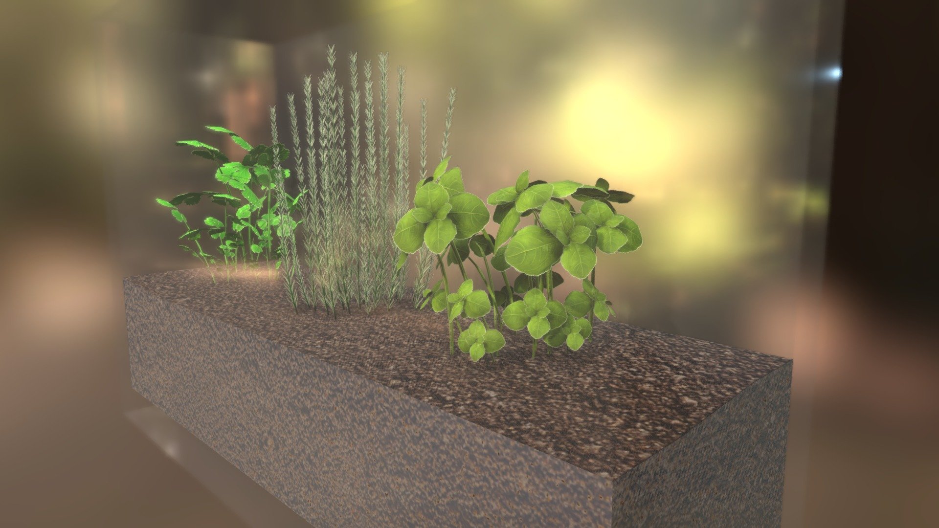 Terrarium (basil, rosemary and coriander) 3d model