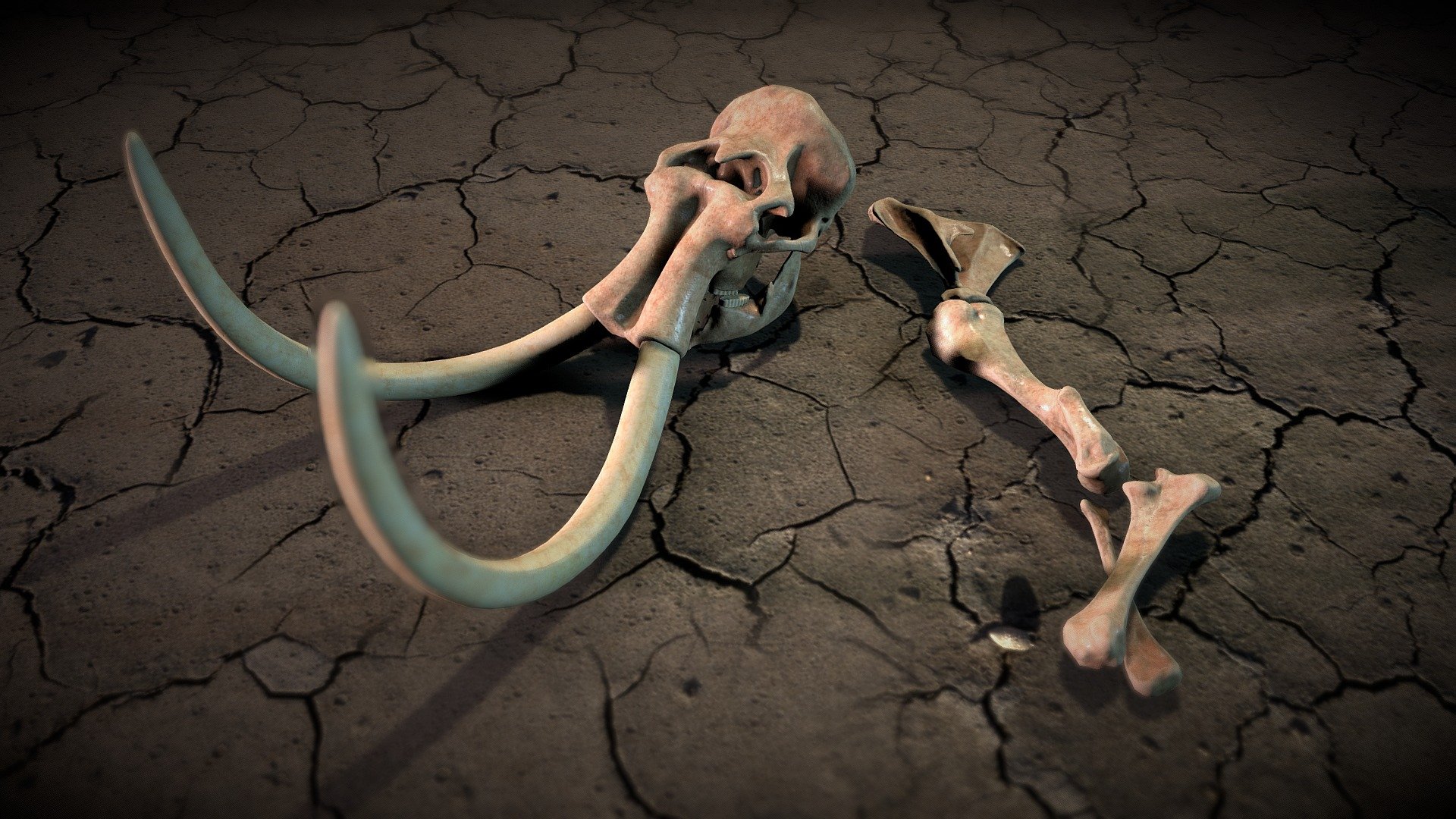 Steppe_mammoth_skull 3d model