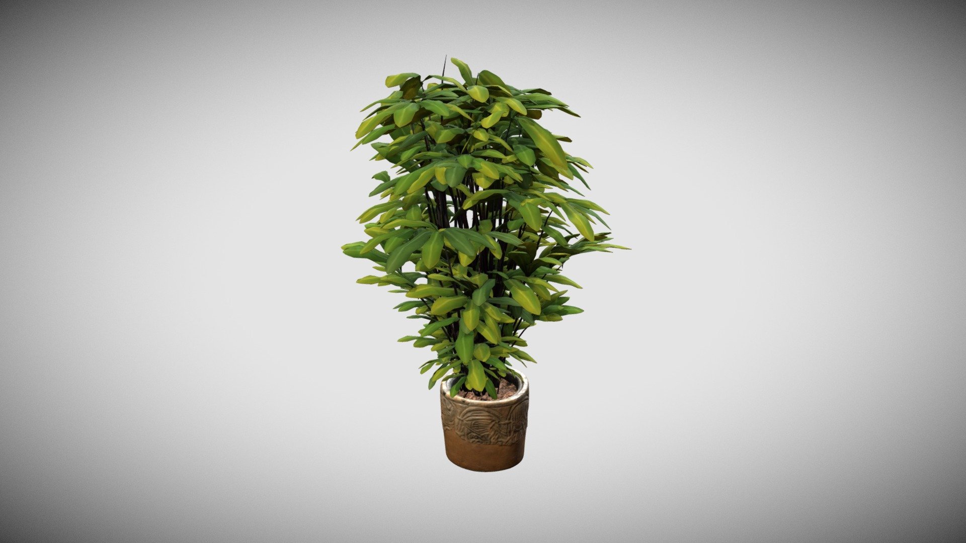 Plant in Stone Vase 3d model