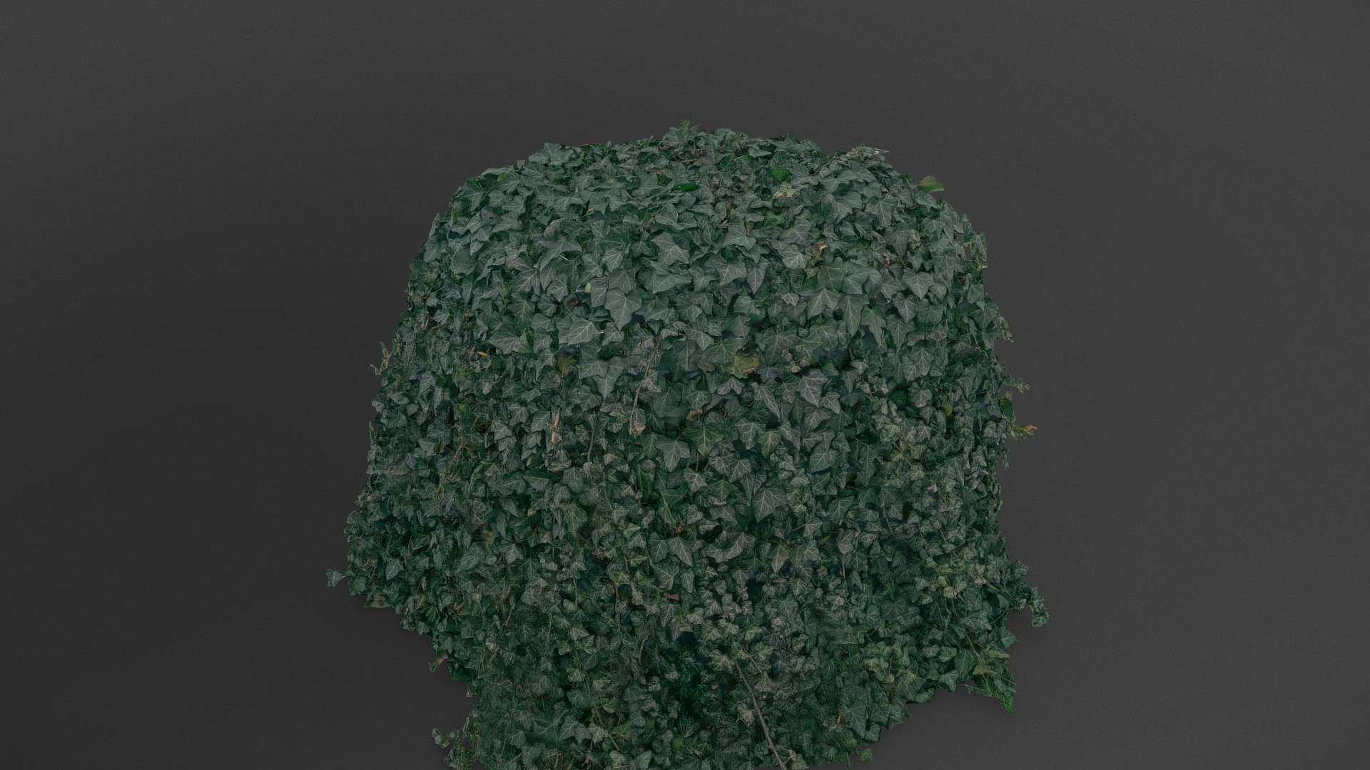 Ivy vine heap CPL 3d model