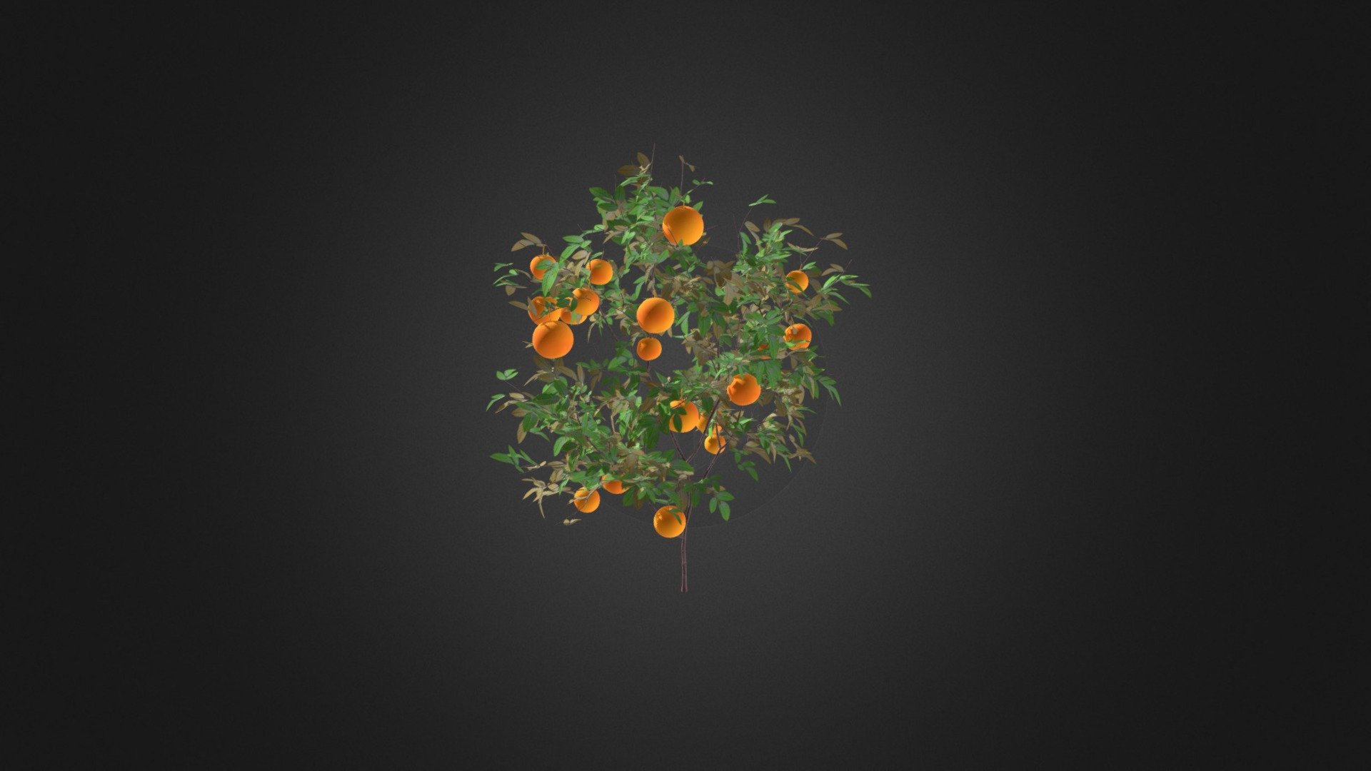 Orange Tree with Fruits 3D Model 1.6m 3d model