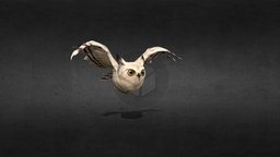 Owl Animation Fly