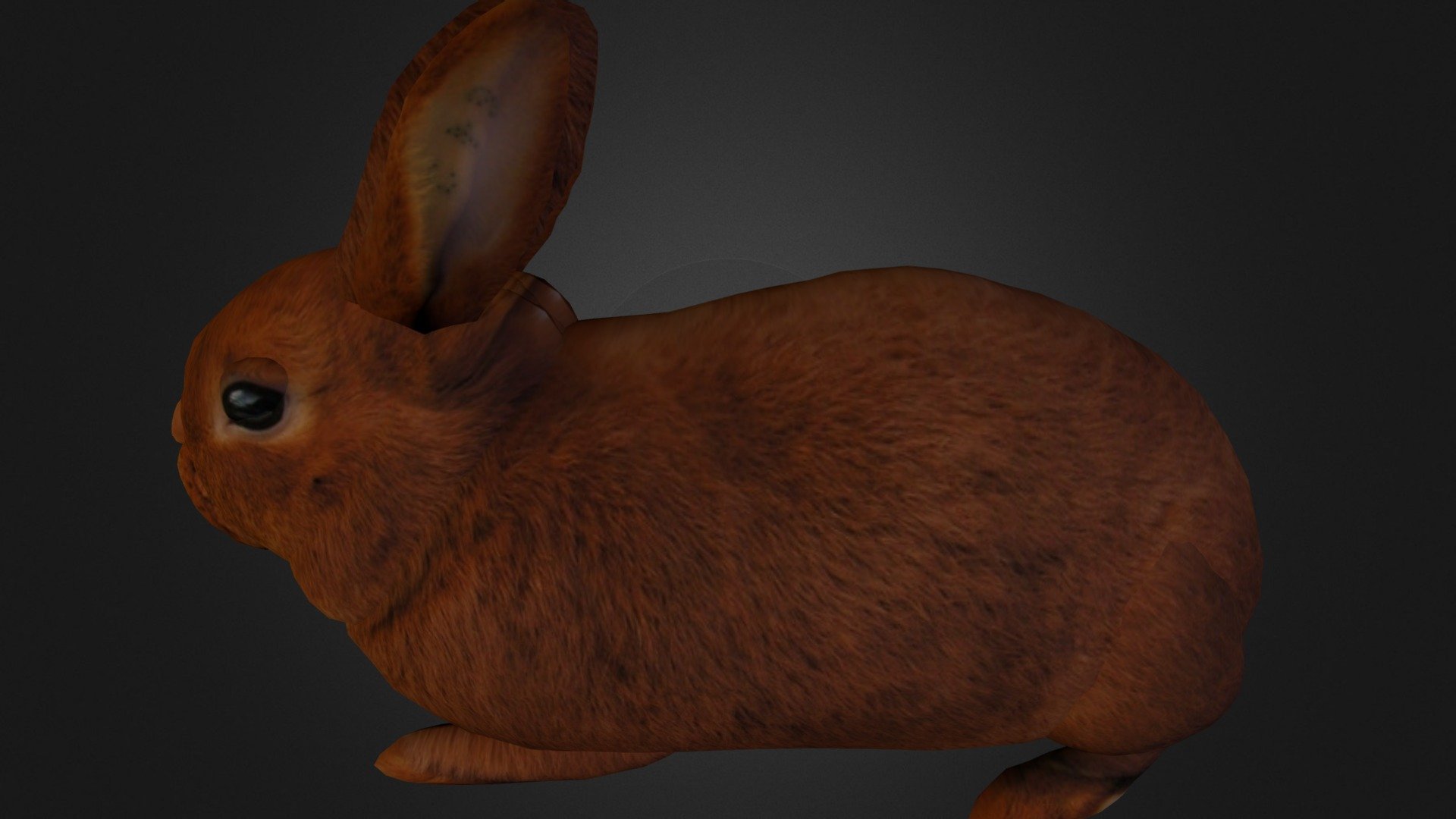 Rabbit 3d model