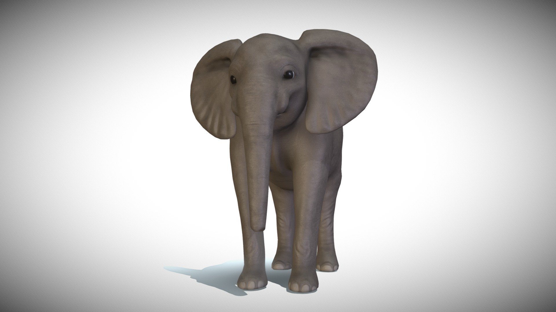 Baby Elephant model 3d model