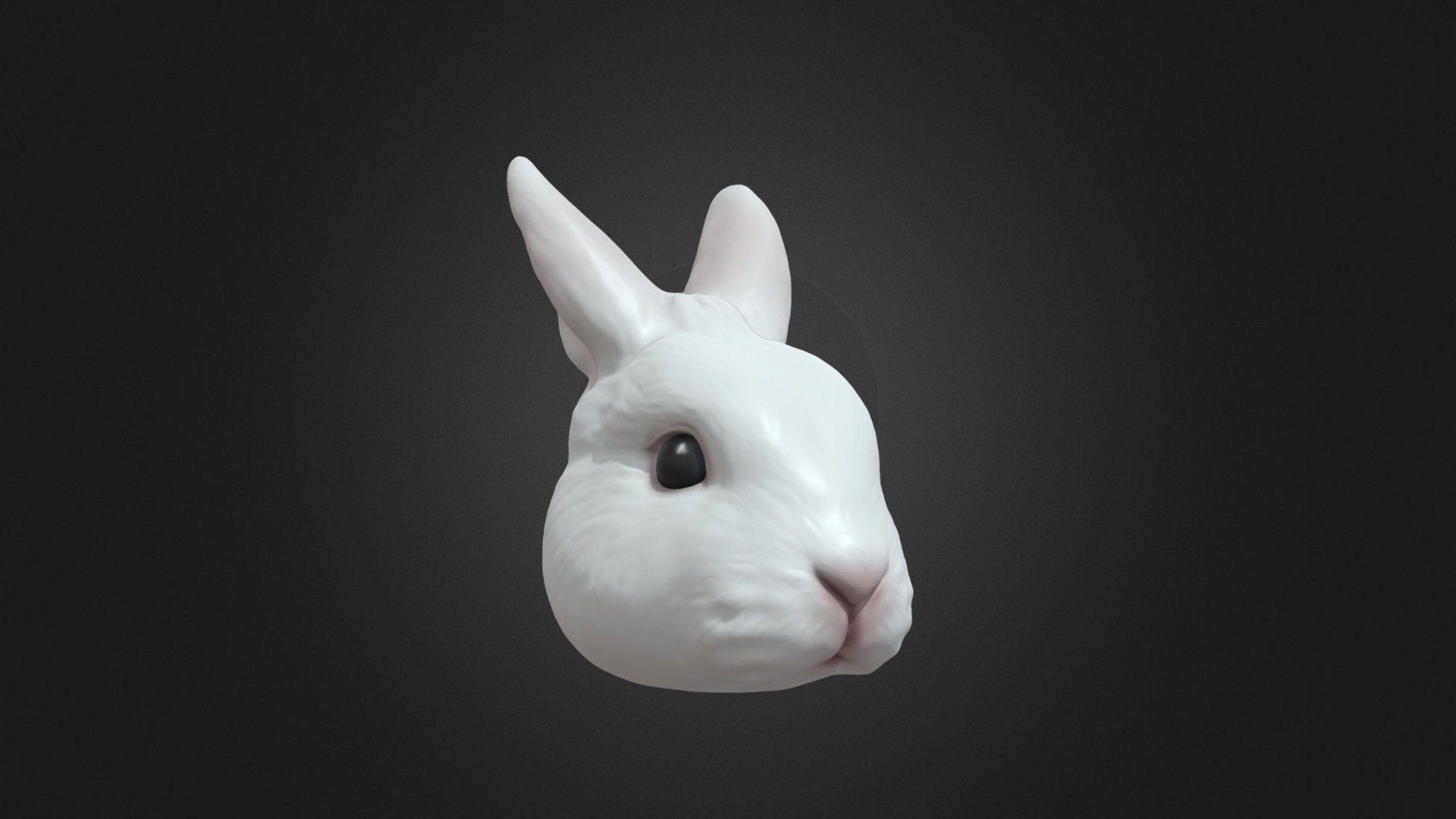 Jacob Ngs rabbit model 3d model