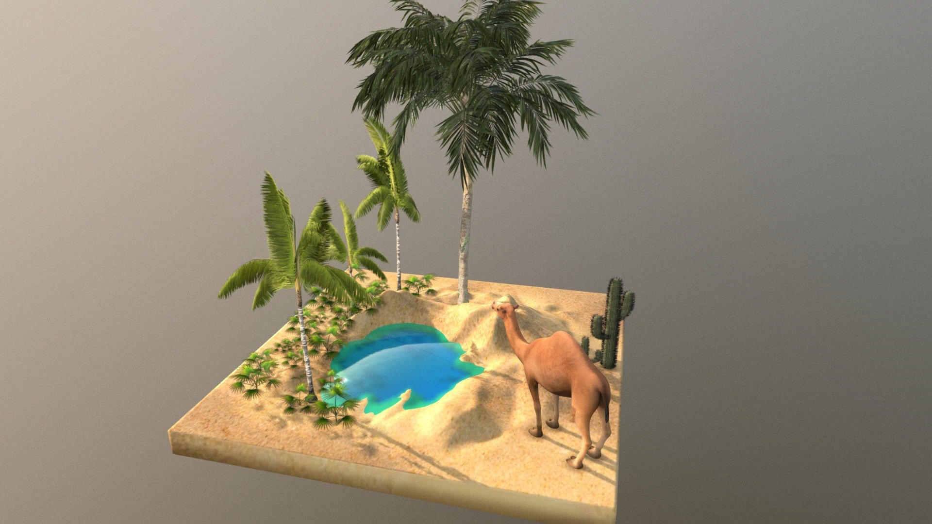 Oasis in desert 3d model