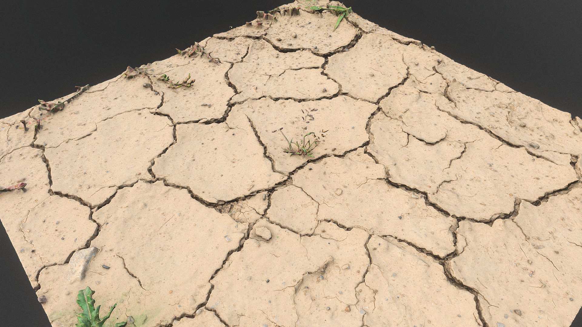 Drought dry soil desert puddle detail 3d model