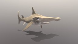 hammerhead shark