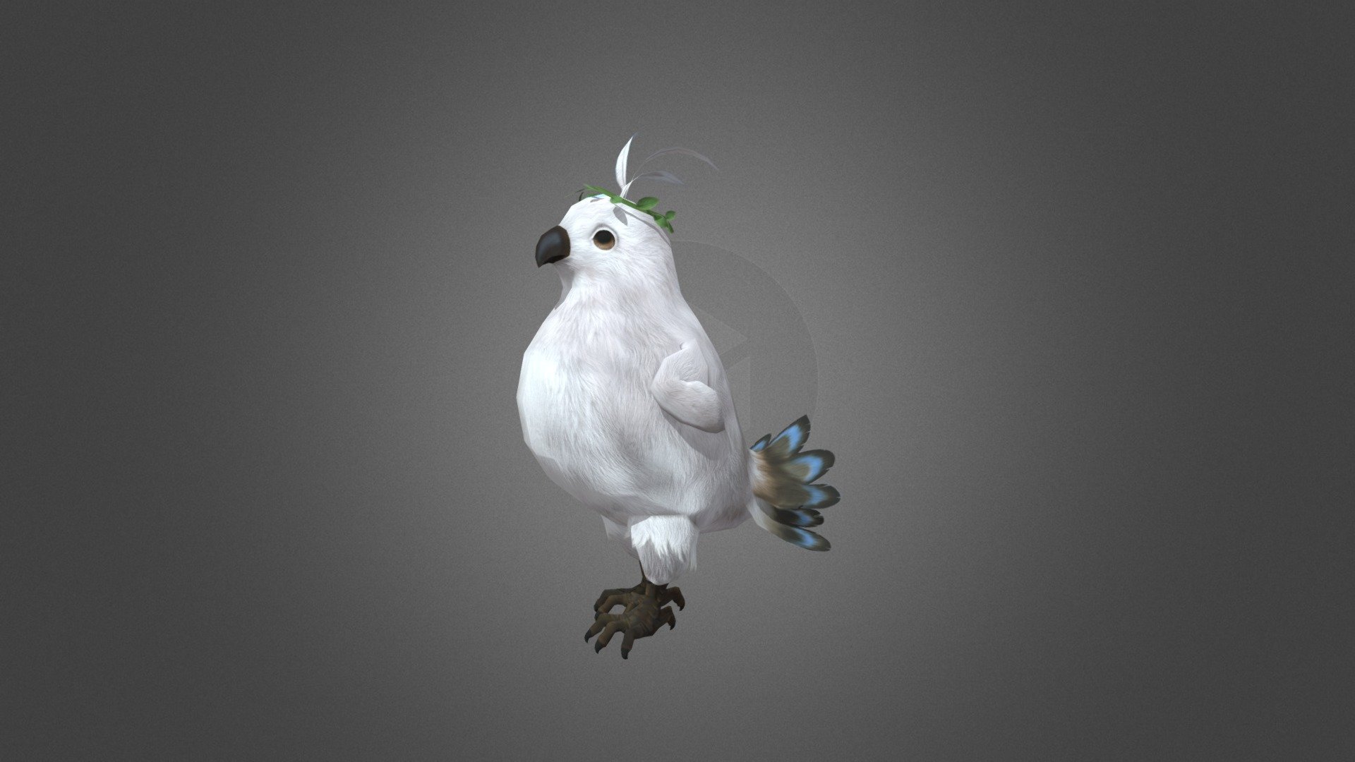 Cute Bird- Dance 3d model