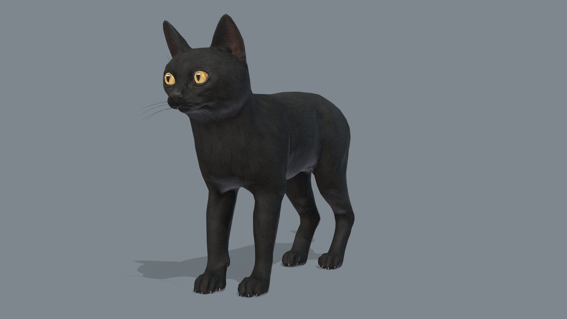 Cat 3d model