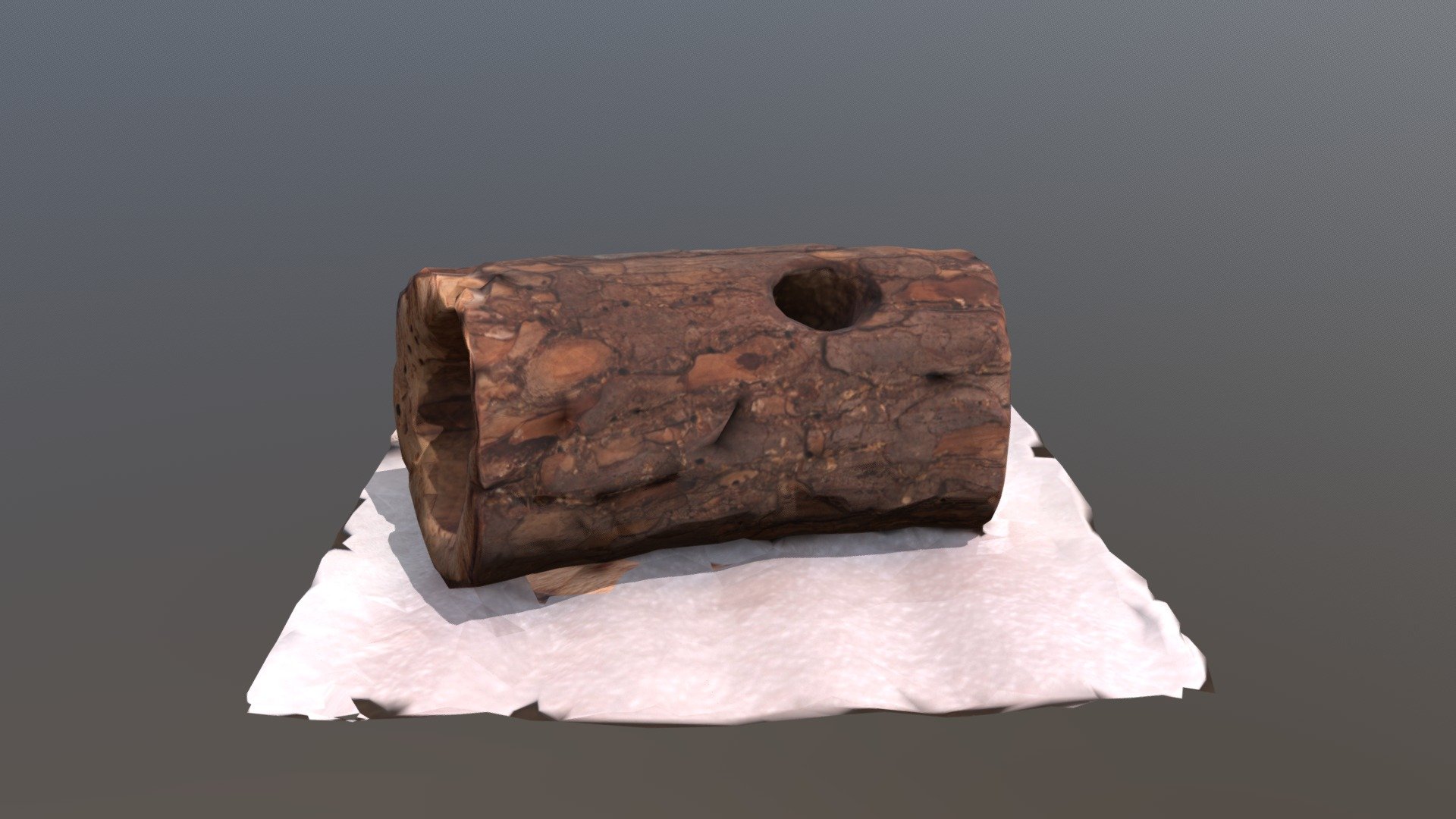 Woodpecker Nest 3d model