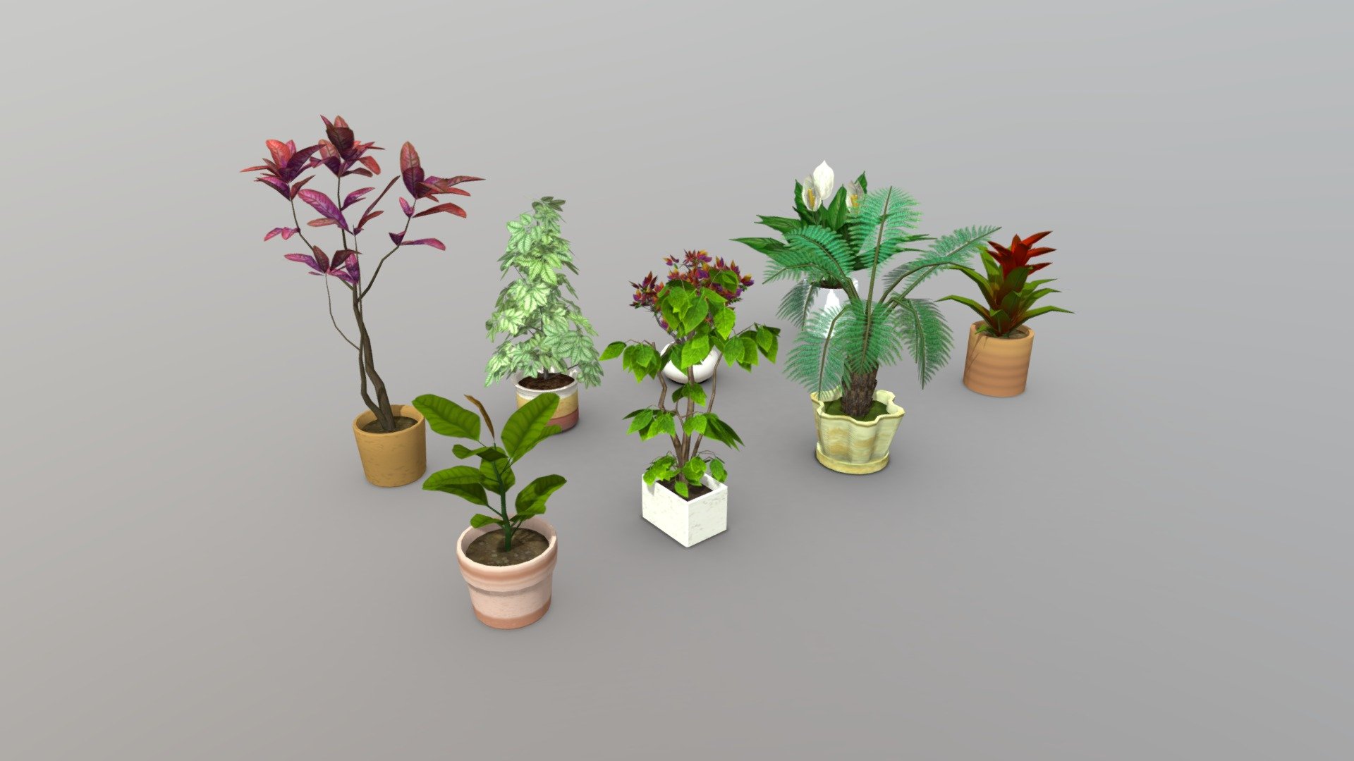 Lowpoly Indoor Potted Plant 3d model