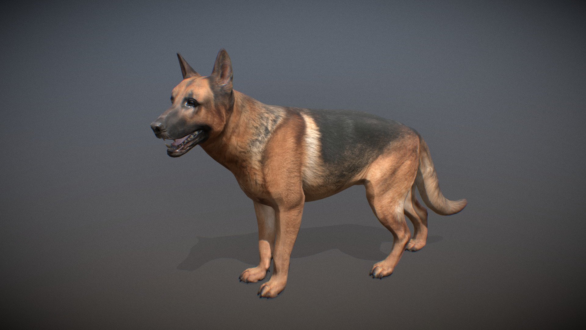 Animalia 3d model