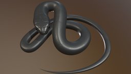 Snake Model