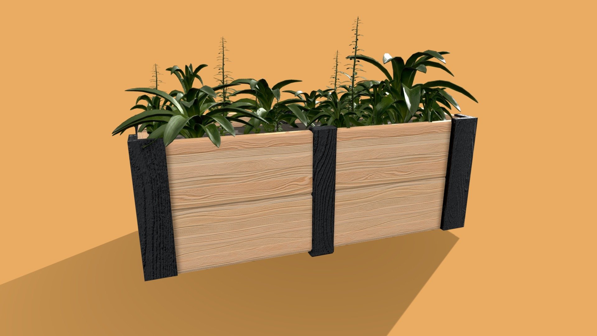 box of plants 3d model