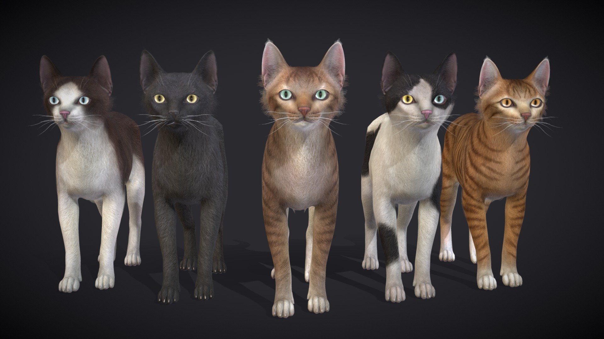 Skinny Cats 3d model