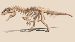 Acrocanthosaurus atokensis Skeleton