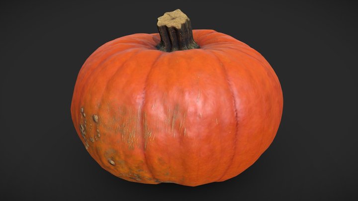 Pumpkin | PBR Photogrammetry