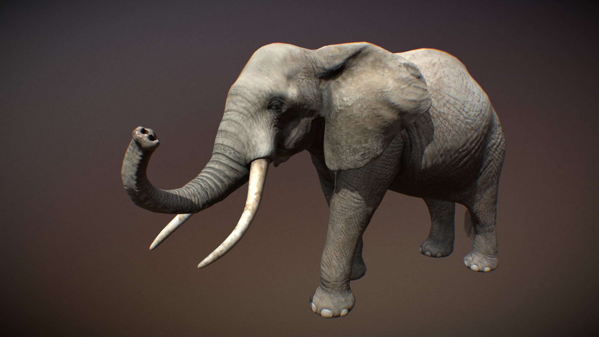 Animalia 3d model