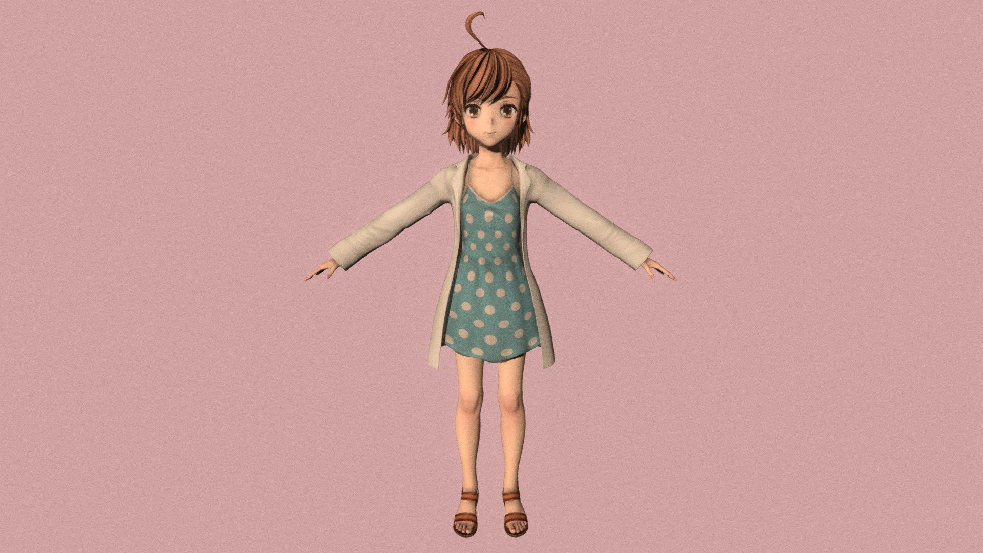 T pose rigged model of Last Order 3d model