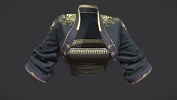 Female Traditional Bolero Jacket Tube Top Combo