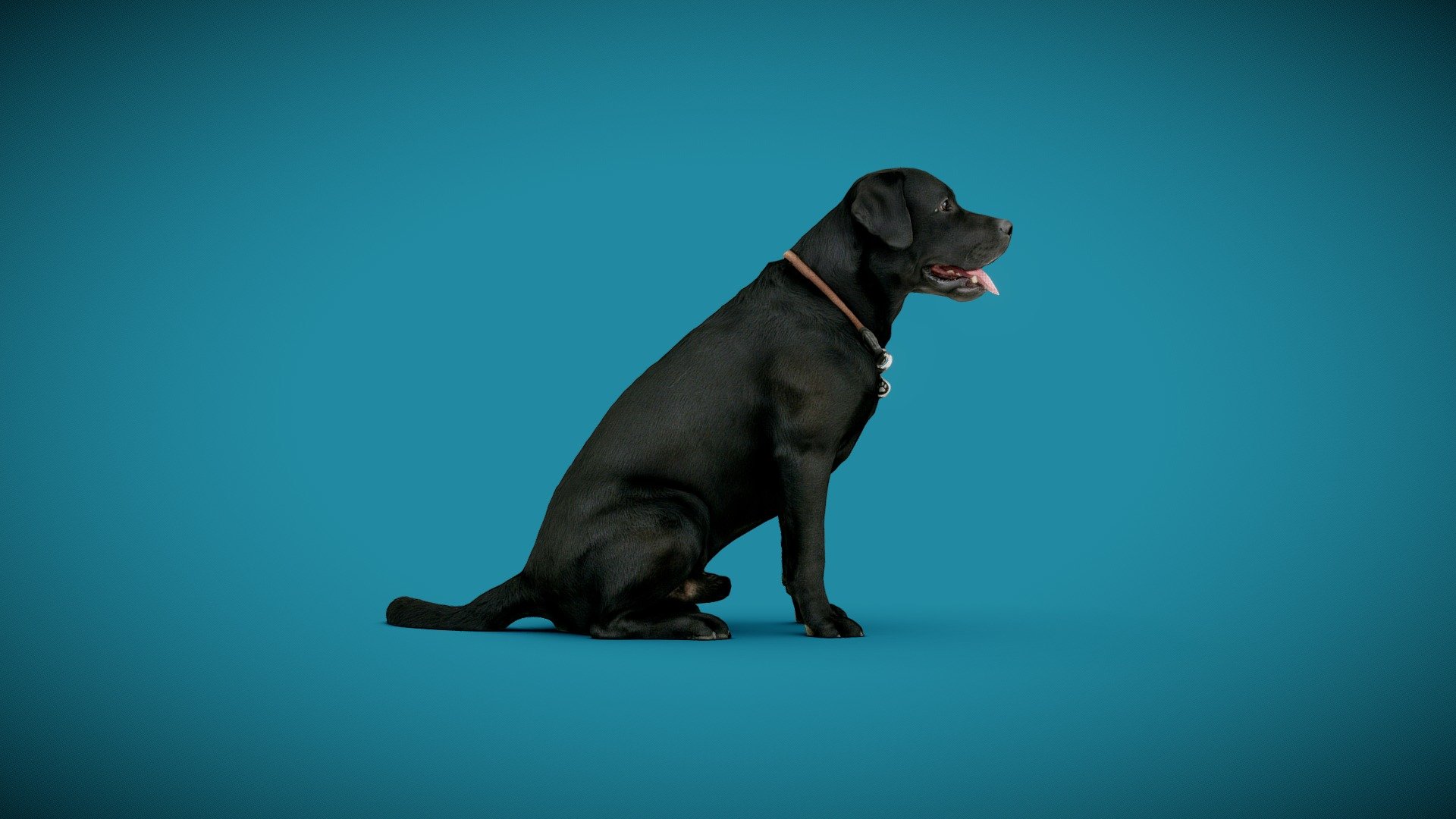 DOG A 3d model