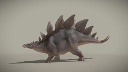 Stegosaurus Stenops