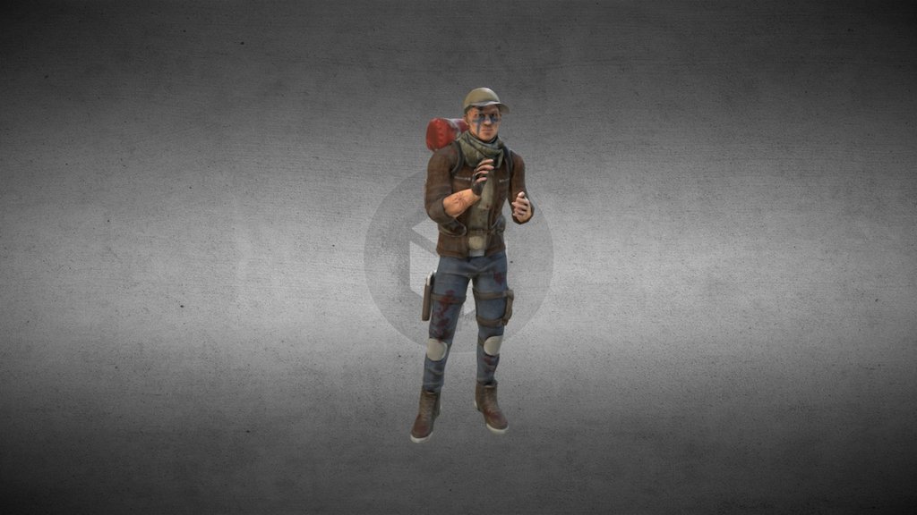 Survivor Anims preview 3d model