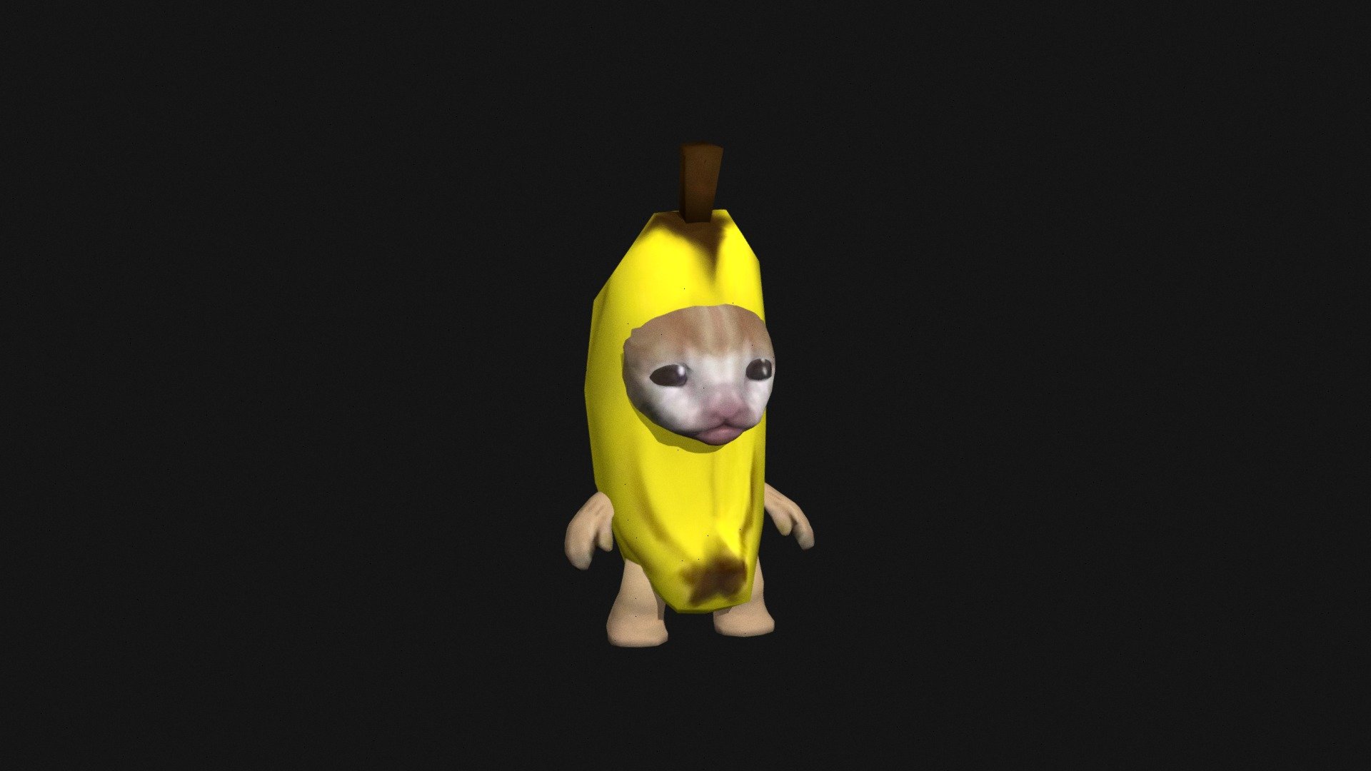 bananaCat 3d model