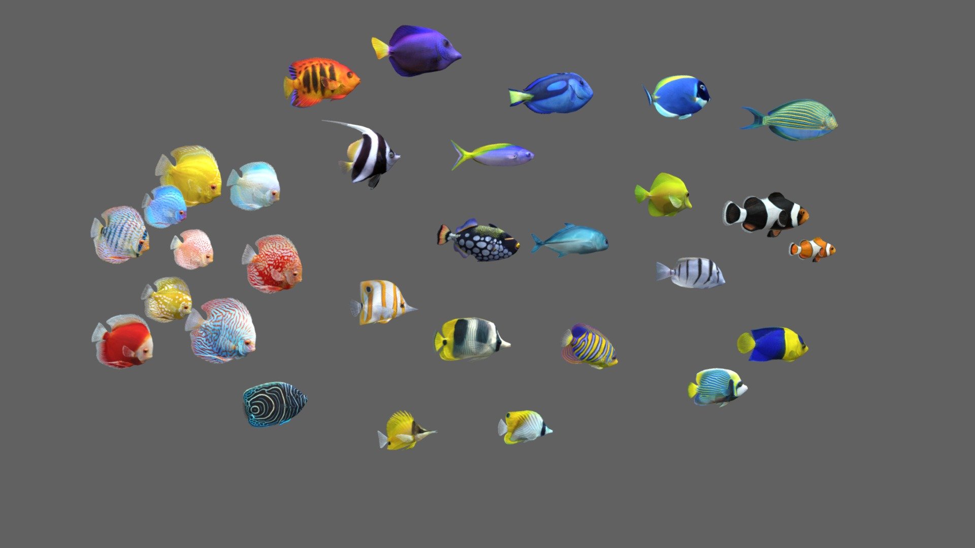 Fish Pack 30 3d model