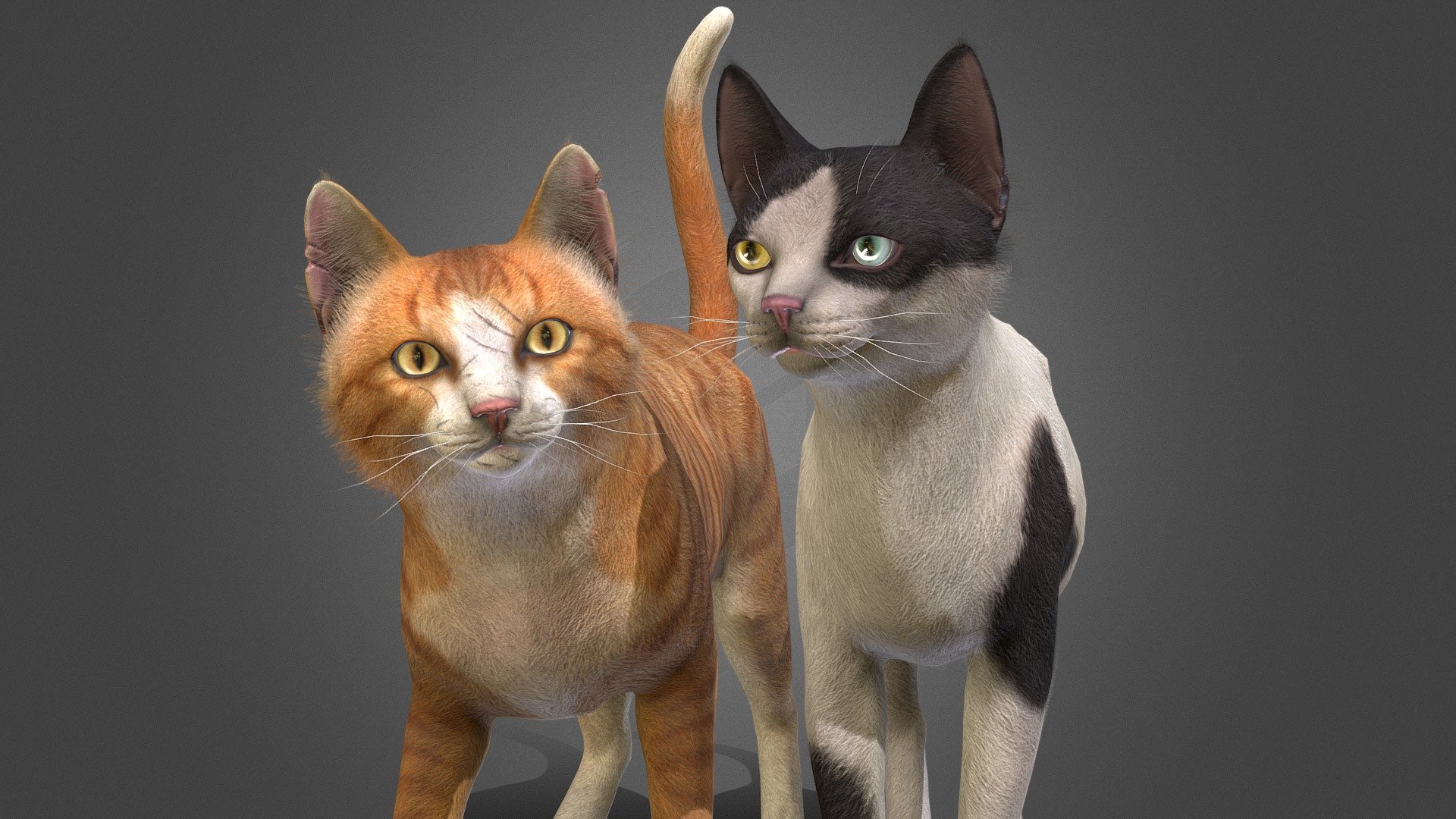 Street Cats 3d model