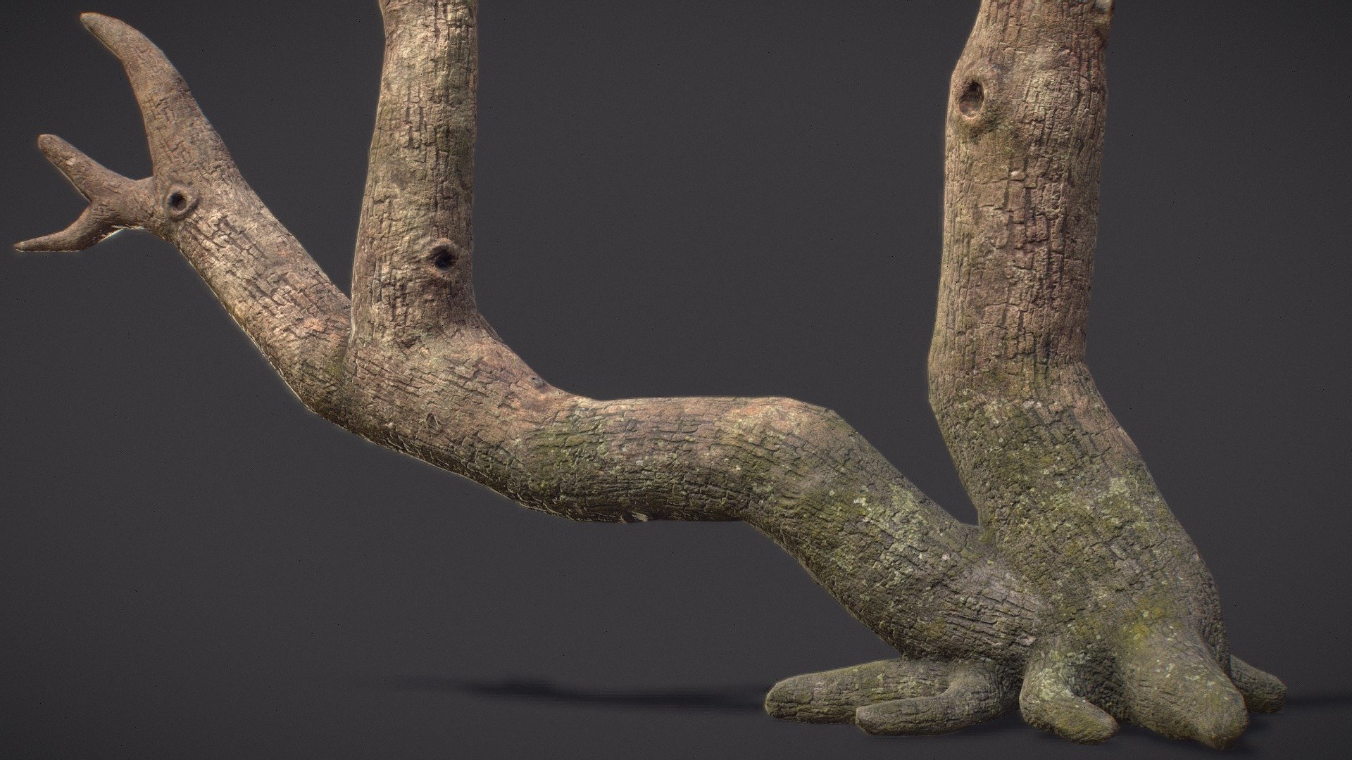 Small Dead Tree 3d model