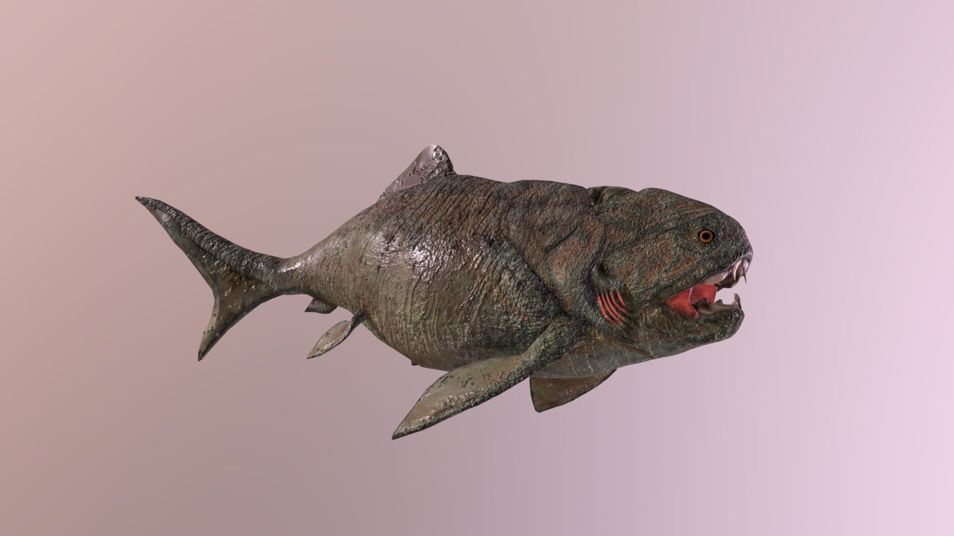 Dunkleosteus terelli Swim 3d model