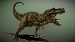 Tyrannosaurus Rex