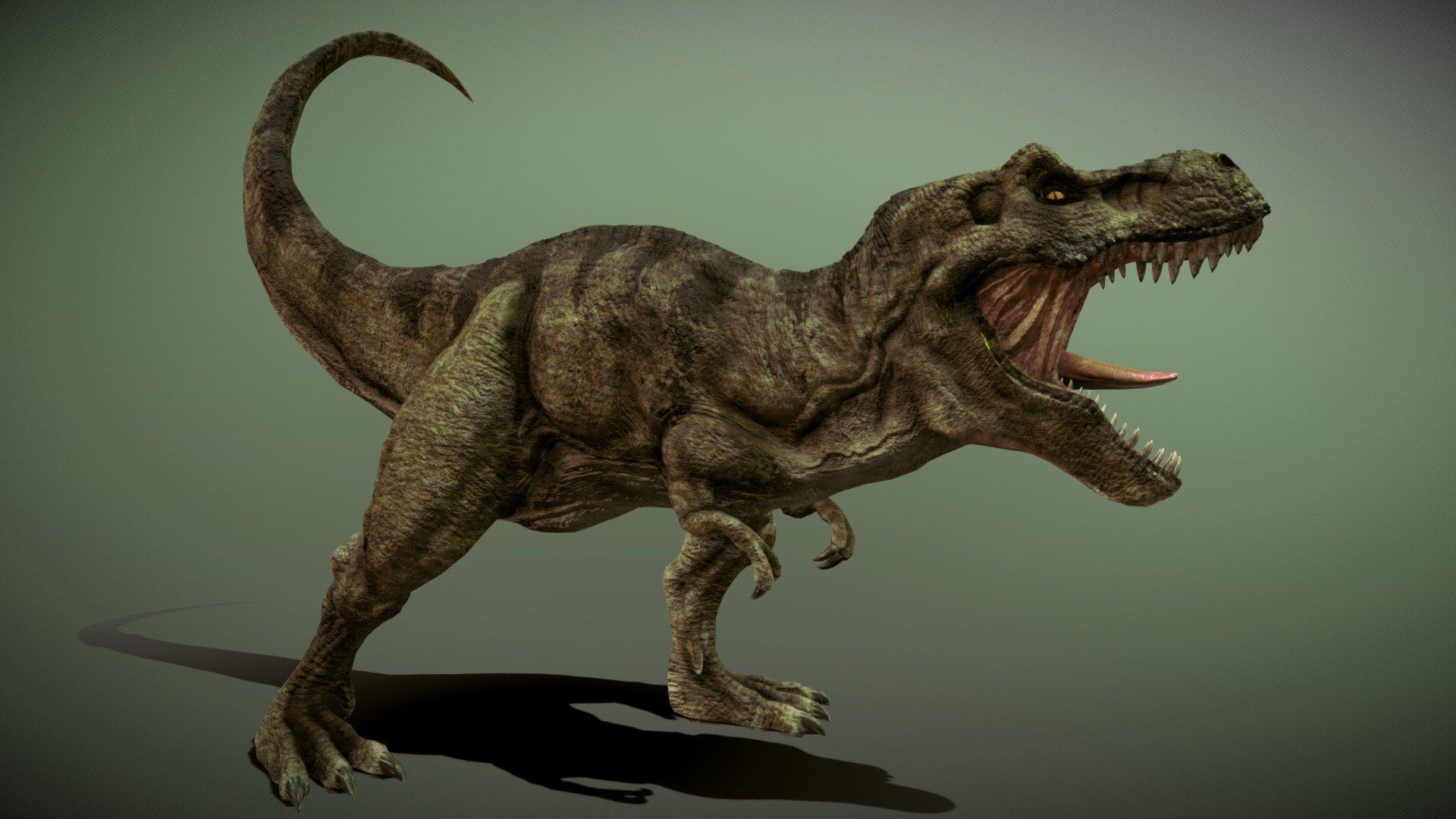 Tyrannosaurus Rex 3d model