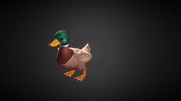 Duck