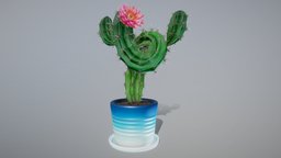 Twisty Cactus