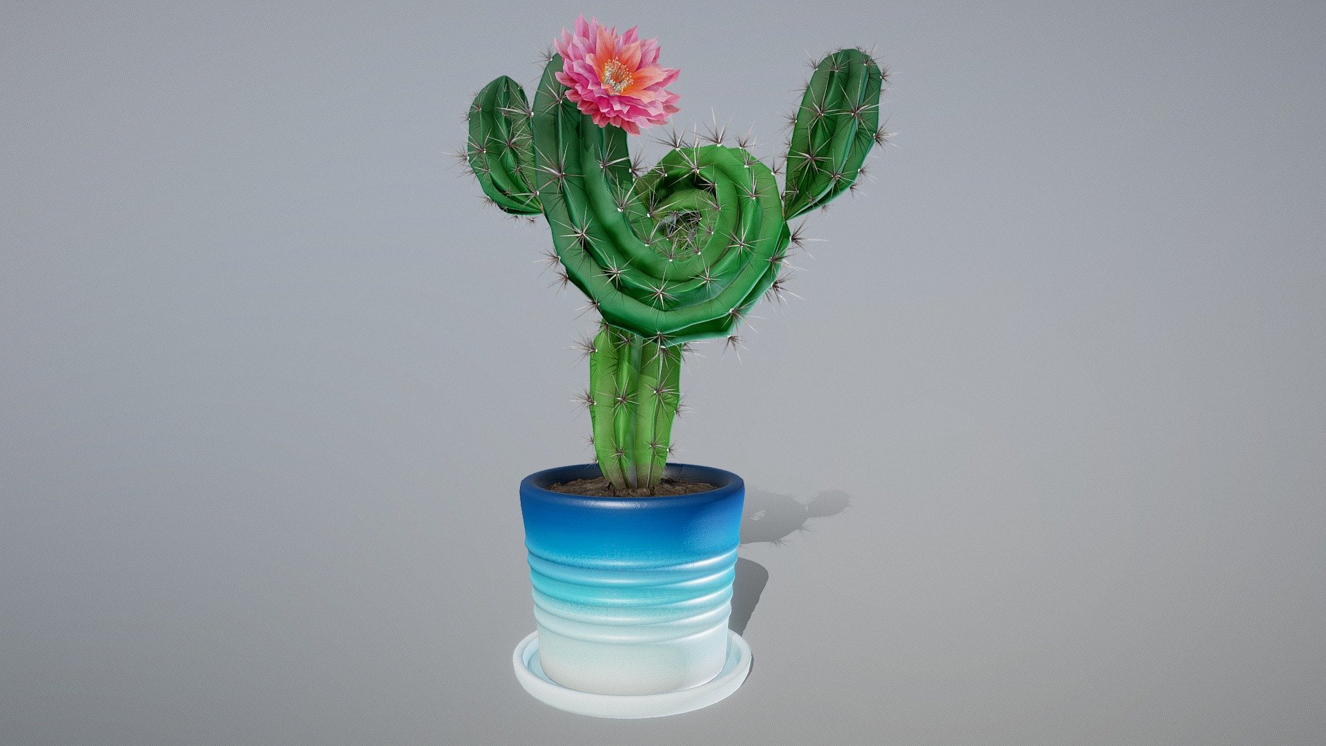 Twisty Cactus 3d model