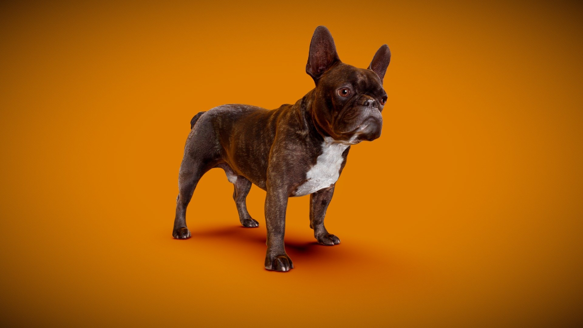 DOG B 3d model