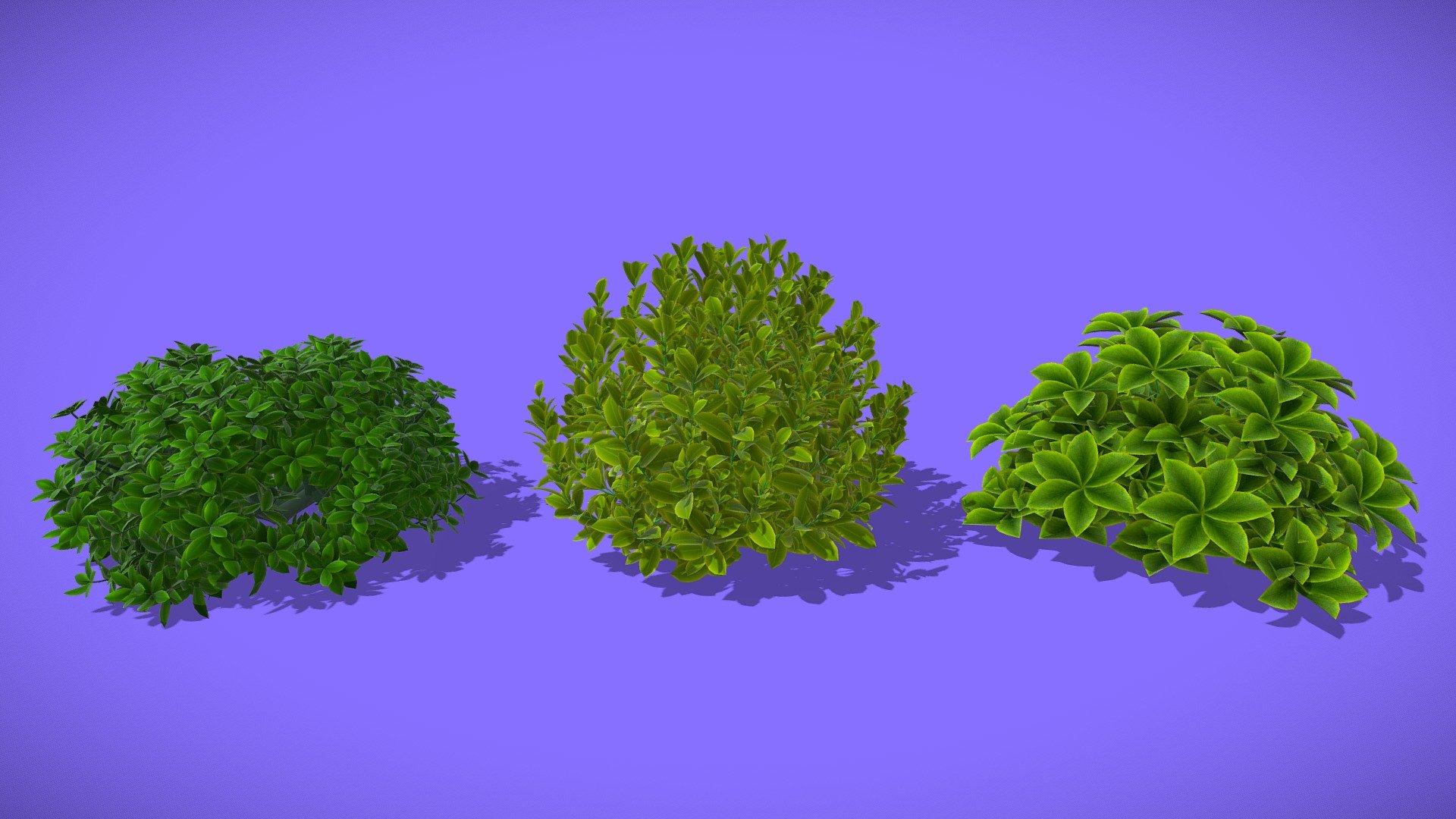 Bush 3d model