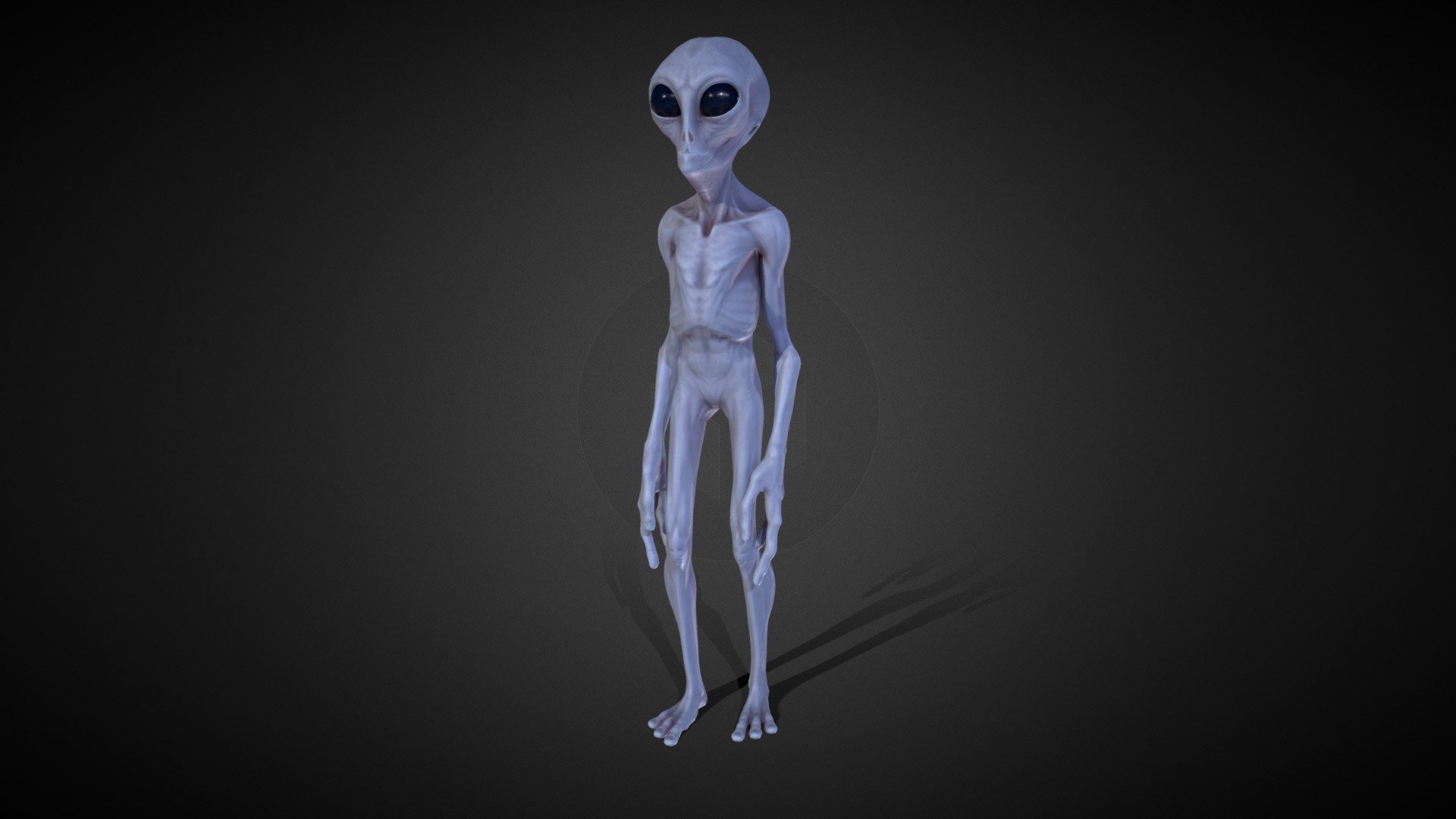 Alien Gray 3d model