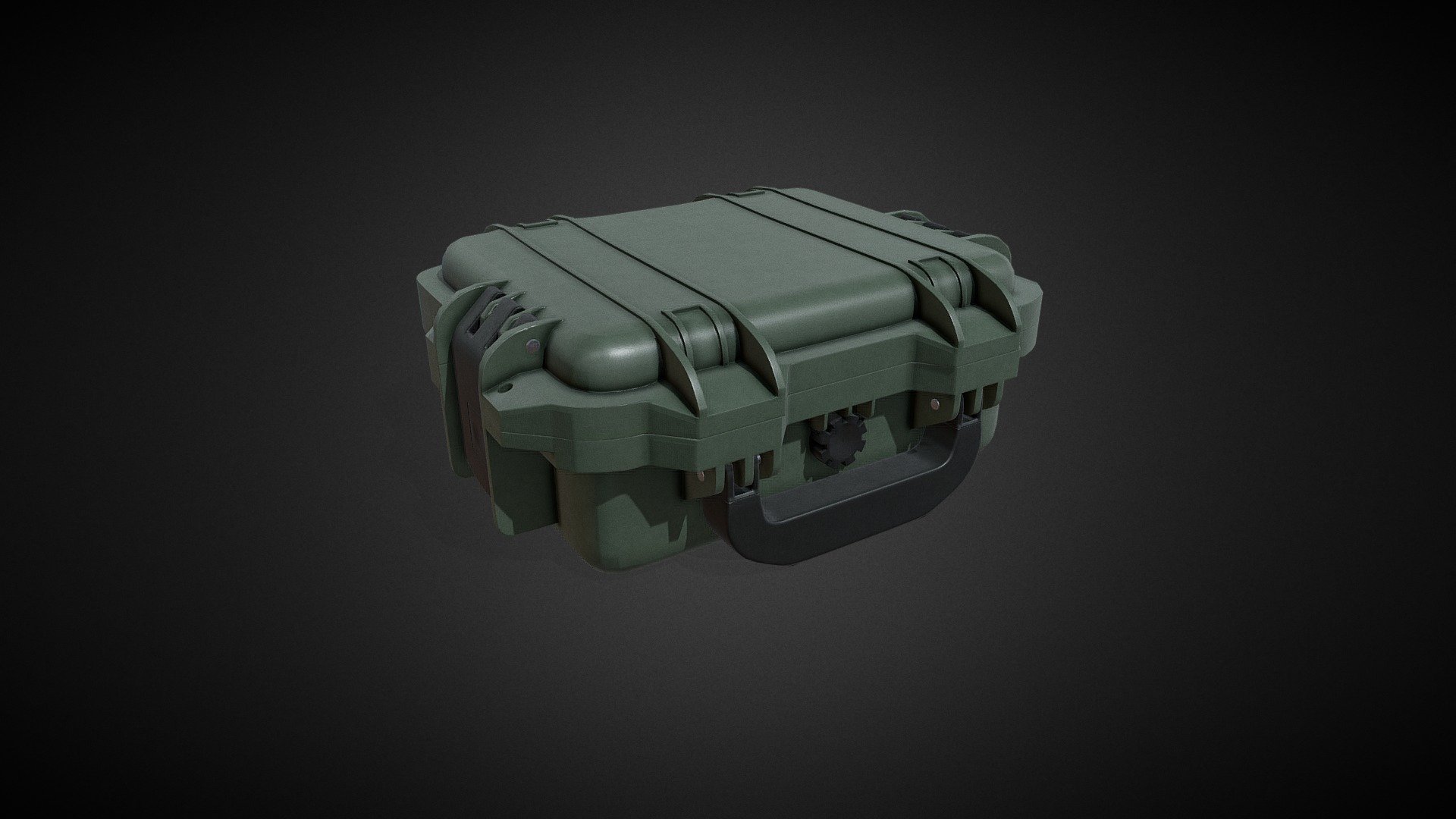 Gun Case 3d model