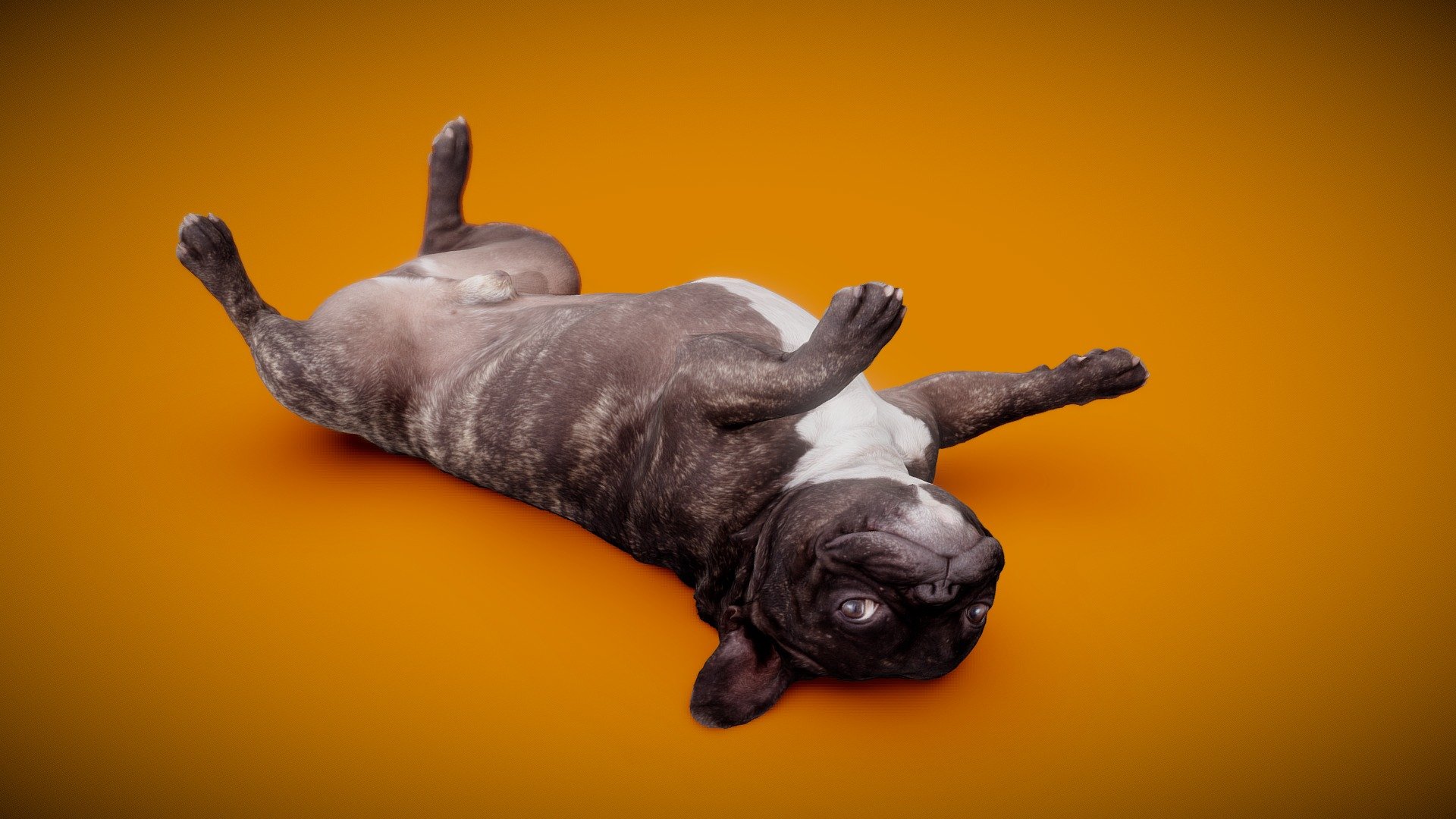 DOG B 3d model