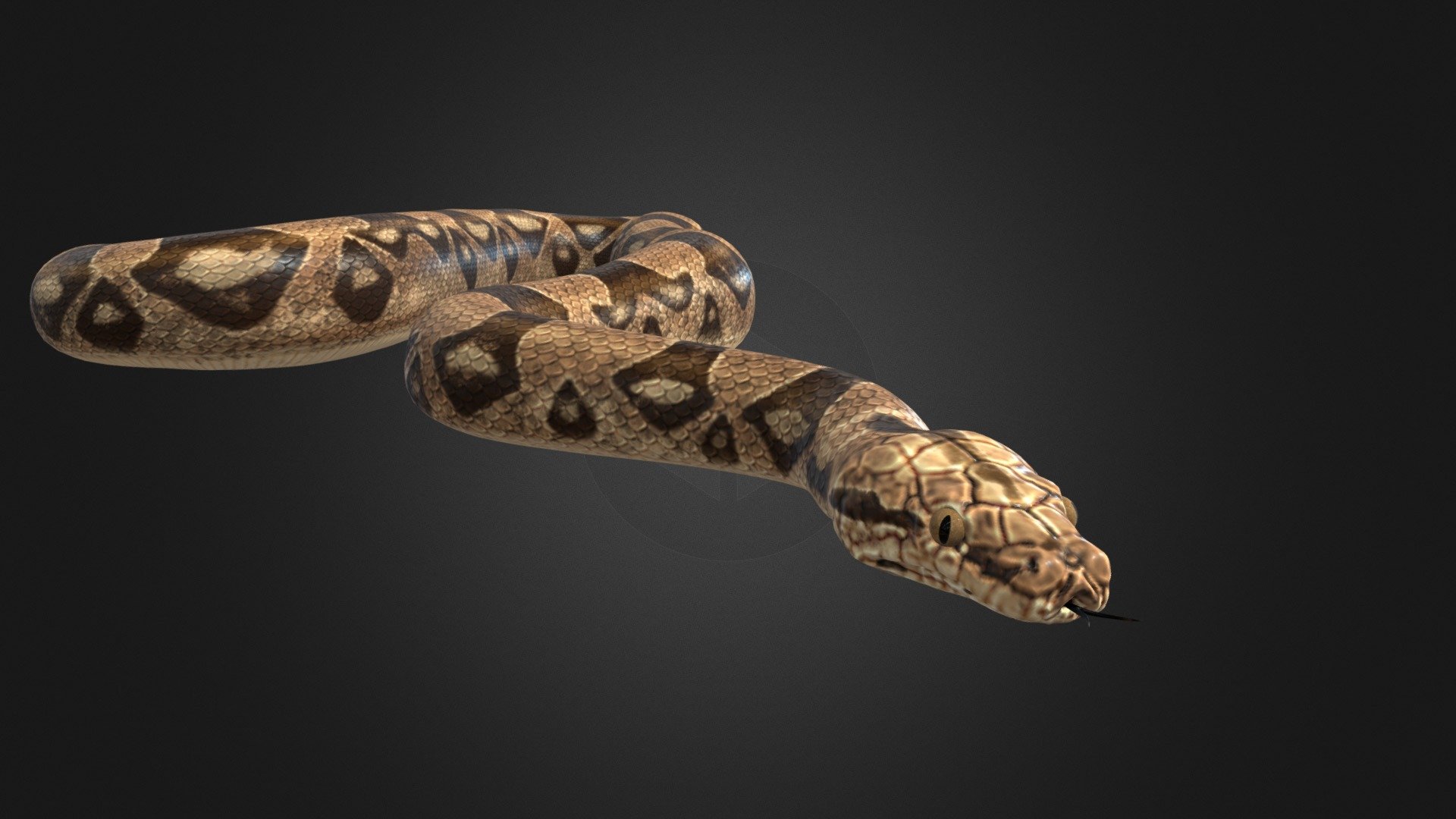 high detailed Snake 3d model