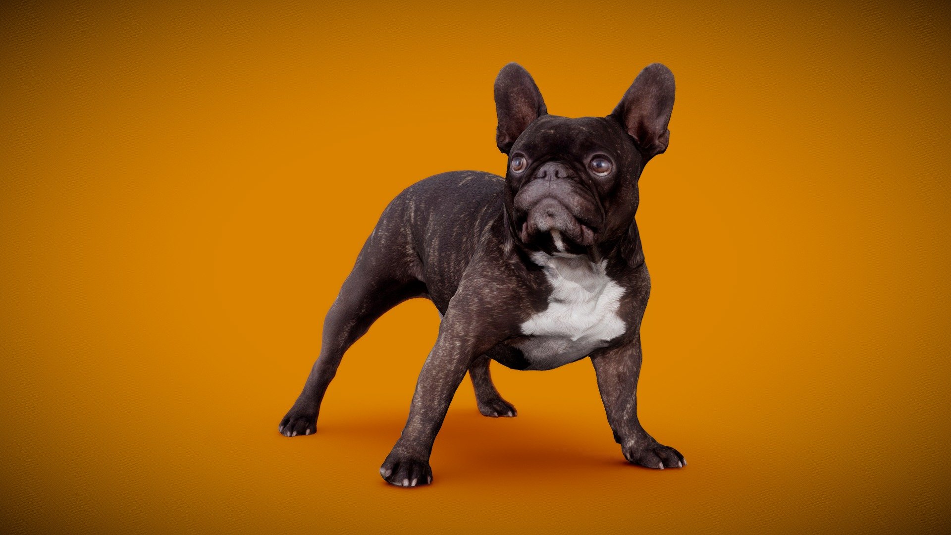 DOG B 3d model