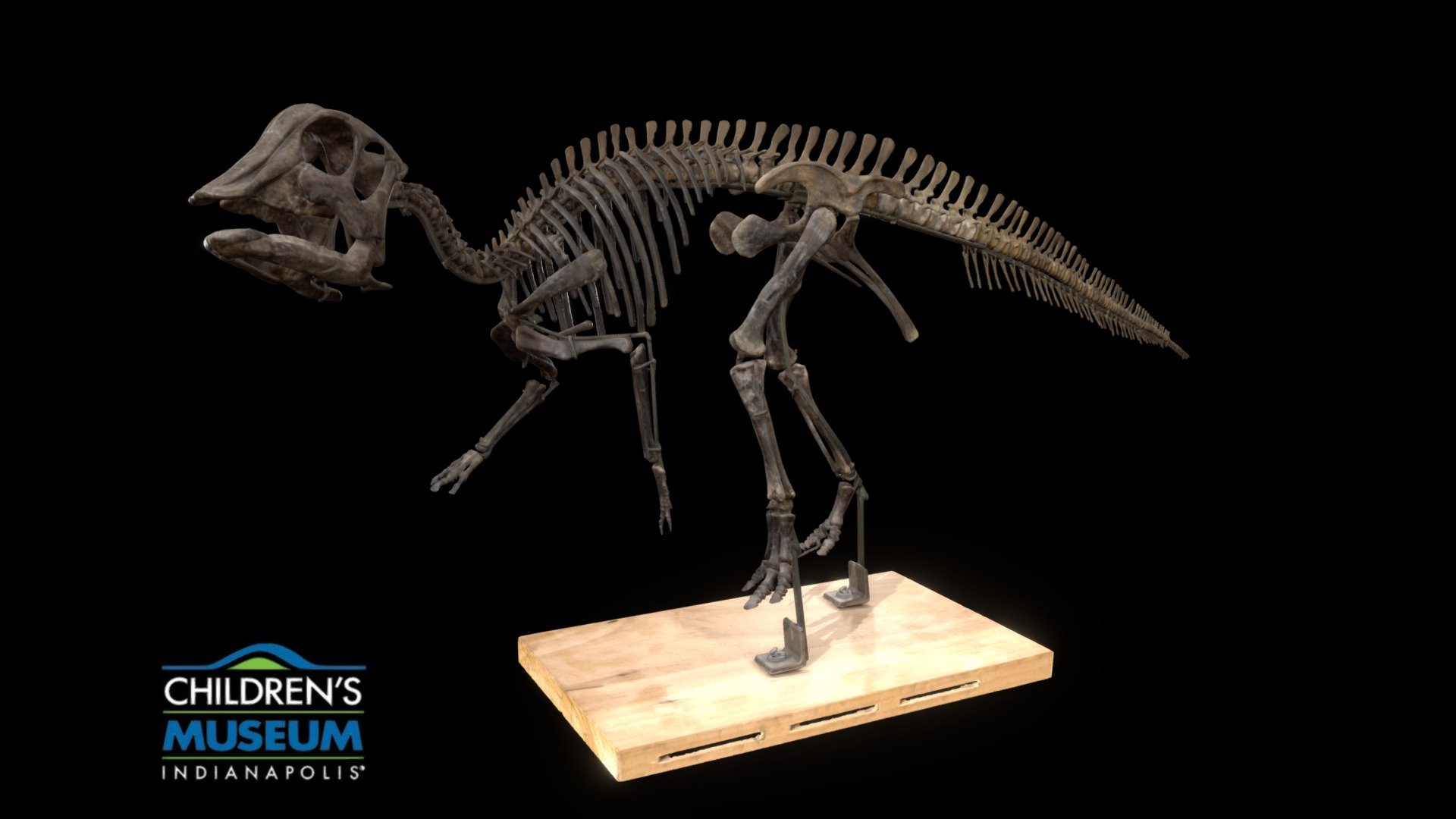 Infant Hypacrosaurus 3d model