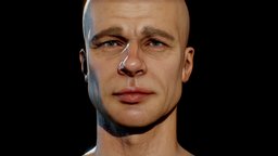 Brad Pitt 3D Model