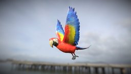 Medhue Parrot