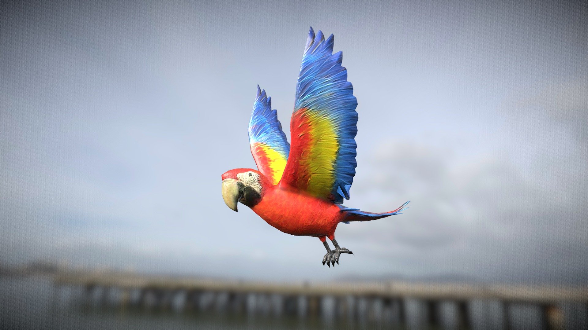 Medhue Parrot 3d model