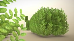 Low-Poly Cherry Laurel Hedge Package (WIP-1)